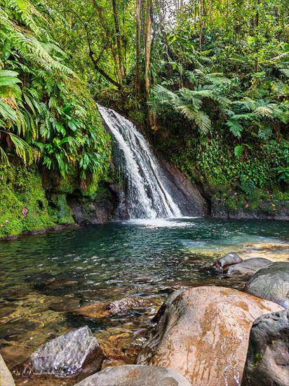 Pure nature, a waterfall with a pool in the forest. The Ecrevisses waterfalls, Cascade aux ecrevisses on Guadeloupe, in the Caribbean. French Antilles, France, Europe