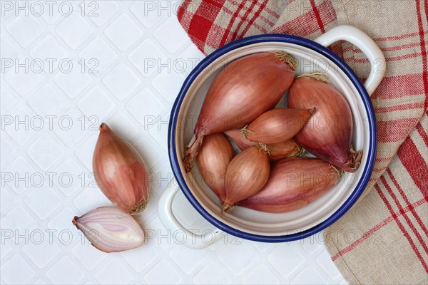 Shallots in peel, Allium cepa