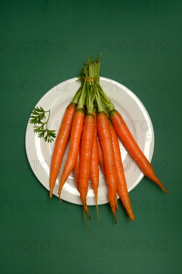 A bunch of carrots on a plate, Daucus carota, carrots
