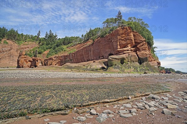 Beach at low tide, cliffs, red sandstone, Five Islands Provincial Park, Fundy Bay, Nova Scotia, Canada, North America