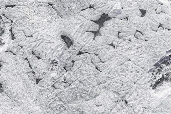 Winter riverscape, ice structures, detail, Saint Lawrence River, Province of Quebec, Canada, North America