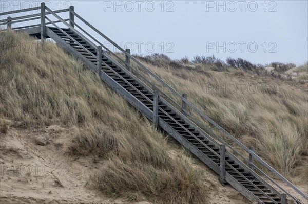 A wooden staircase that leads over the sandy dunes to the beach