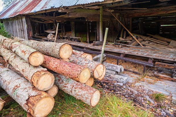 Logs ready to be sawed at an old sawmill in the country