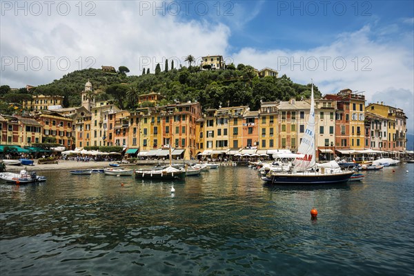 Village with colourful houses and harbour by the sea, Portofino, Province of Genoa, Liguria, Italy, Europe