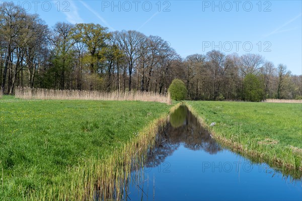Clear reflections in the river with green meadow and trees in the background