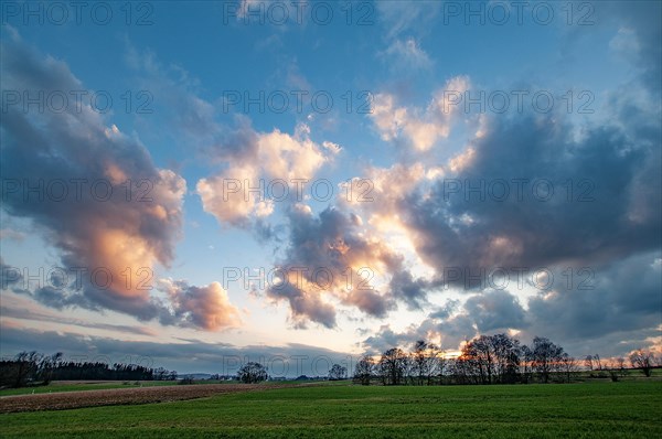 Atmospheric sunset with cloudy sky and trees and fields in the foreground, Swabia, Bavaria, Germany, Europe