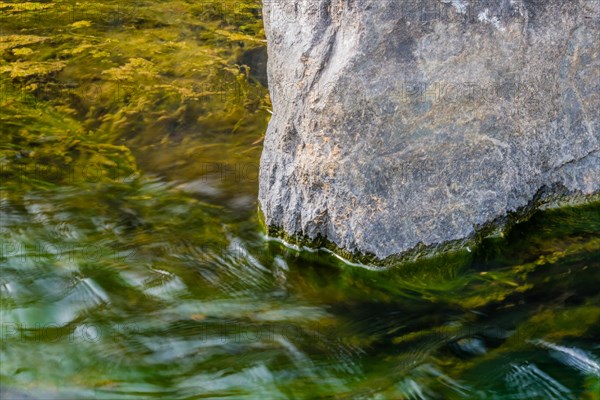 Sunlit water laps against a rock's edge, revealing submerged algae, in South Korea