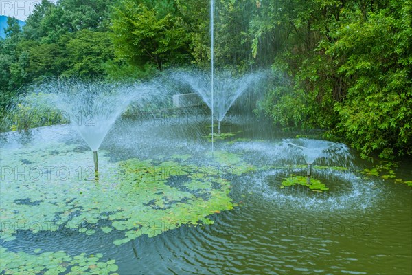 Pond with fountains creating spray over water lilies and lush greenery, in South Korea