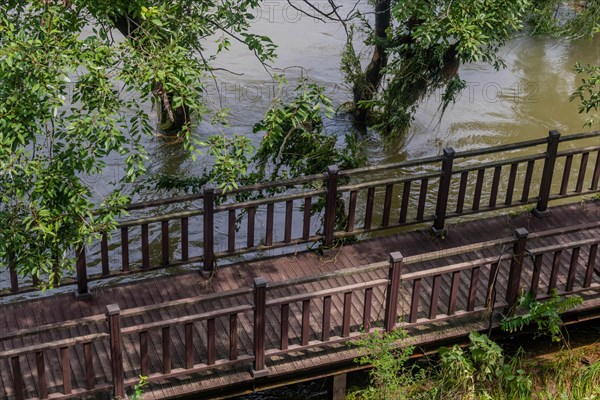 Wooden walkway beside a flooded river with submerged trees and railings, in South Korea
