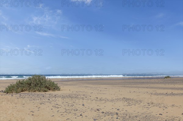 Playa de Cofete, Jandia, Fuerteventura, Canary Islands, Spain, Europe