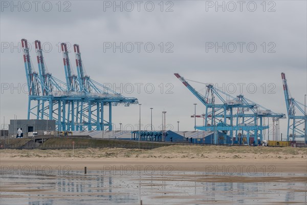 Reflection of harbour cranes and containers on the water under a cloudy sky, Zeebrugge, Flanders, Belgium, Europe