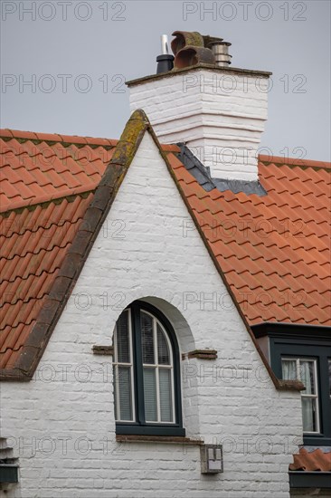 The gable of a house with tiled roof and skylight against a cloudy sky, DeHaan, Flanders, Belgium, Europe
