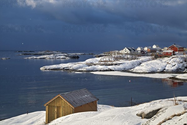Winter morning brings tranquility to seafront houses in Lofoten during the blue hour, Lofoten