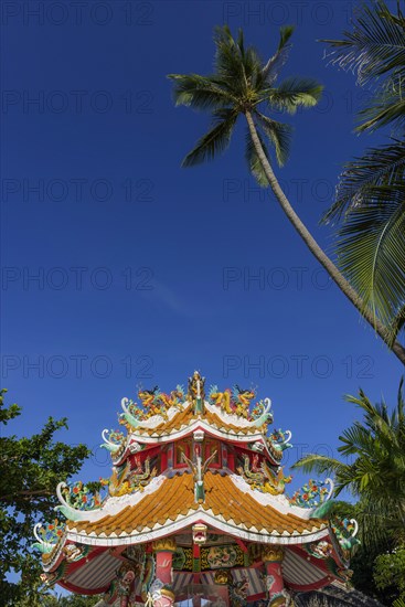 Buddhist temple at Maenam Beach, beach, religion, temple complex, Buddhism, sacred, religious, world religion, offering, pilgrimage site, pray prayer, Asian, Buddha, colourful, tourism, travel, culture, history, world religion, palm tree, outside, building, faith, palm tree, Koh Samui, Thailand, Asia