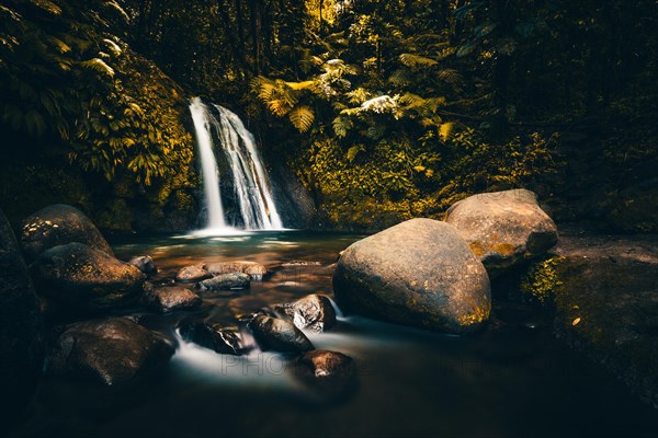 Pure nature, a waterfall with a pool in the forest. The Ecrevisses waterfalls, Cascade aux ecrevisses on Guadeloupe, in the Caribbean. French Antilles, France, Europe