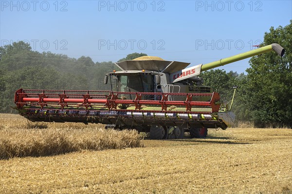 Combine harvester on a barleys (Hordeum vulgare), Mecklenburg-Vorpommern, Germany, Europe