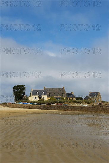 Houses and granite rocks on the beach, Plougrescant, Cote de Granit Rose, Cotes d'Armor, Brittany, France, Europe