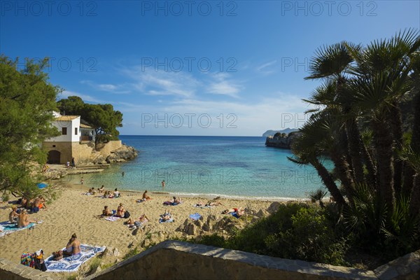 Cala Gat, Cala Rajada, Majorca, Majorca, Balearic Islands, Spain, Europe