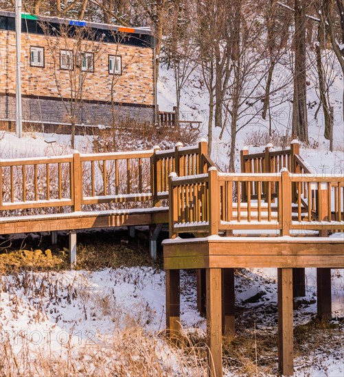 A wooden bridge crosses over a snowy area surrounded by leafless trees in winter, in South Korea