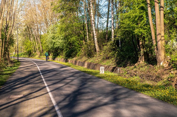 A cyclist on a road surrounded by trees on a sunny spring day, cycle path, Nordbahntrasse, Barmen, Wuppertal, Bergisches Land, North Rhine-Westphalia