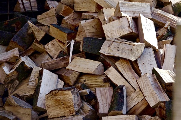 Stock of firewood, Germany, Europe