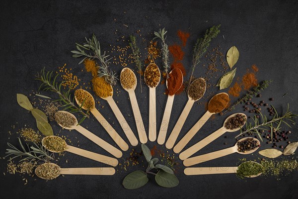 Various spices and herbs artfully arranged in a semi-circle on a dark background