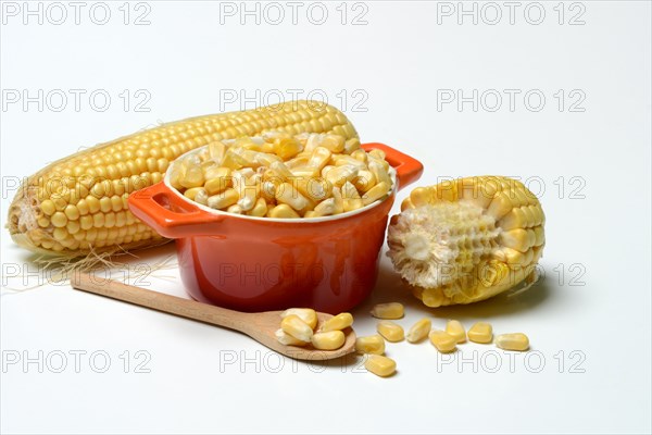 Fresh maize kernels in pots and cobs, corn (Zea mays)