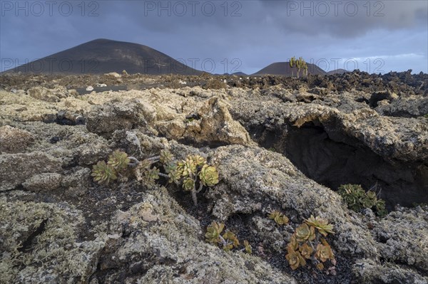 Caldera Colorada, Parque Natural de Los Volcanes, Masdache, Lanzarote, Canary Islands, Spain, Europe