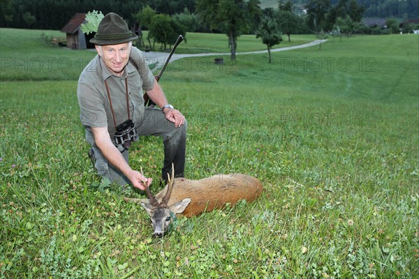 A hunter rejoices over a killed european roe deer (Capreolus capreolus) Eichenbruch am Hut, Lower Austria, Austria, Europe