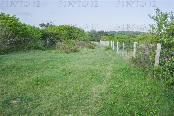 Natural country path next to a fence through a green meadow landscape