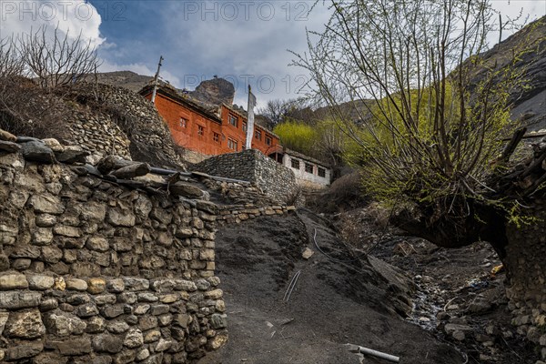 Remote Tetang village, Kingdom of Mustang, Nepal, Asia