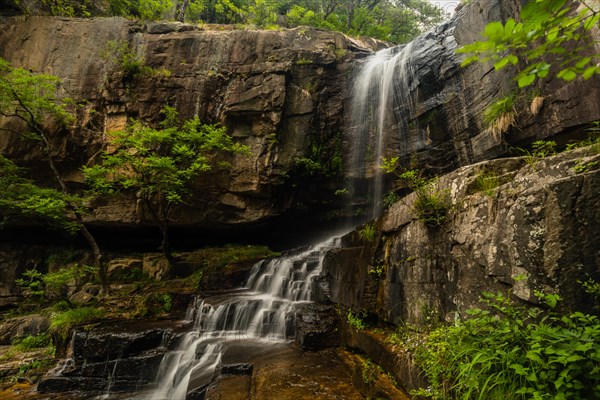 Sunlight filters through the trees onto a cliff from which a waterfall descends into a rocky basin, in South Korea