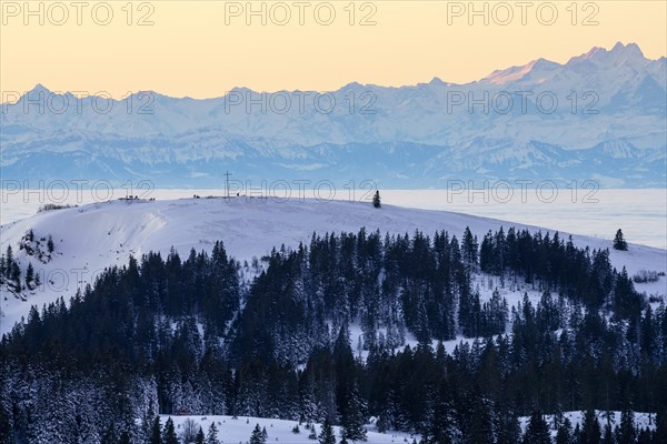 View from the Feldberg over the Herzogenhorn to the Swiss Alps, sunrise, Breisgau-Hochschwarzwald district, Baden-Wuerttemberg, Germany, Europe