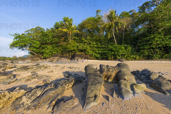 Walk at the beach landscape at Silent beach in Khao lak, beach, sandy beach, panorama, beach panorama, stony, rocks, beach holiday, holiday, travel, tourism, sea, seascape, coastal landscape, landscape, rocky, stony, ocean, beach holiday, flora, tree, palm, palm beach, forest, nature, lonely, dream beach, beautiful, weather, climate, sunny, sun, paradise, beach paradise, Thailand, Asia