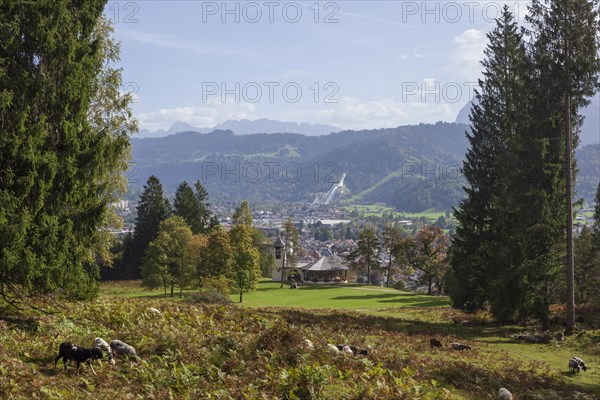 Overview of Garmisch-Partenkirchen with Karwendel mountains and forest in autumn, hiking trail Kramerplateauweg, Garmisch-Partenkirchen, Upper Bavaria, Bavaria, Germany, Europe