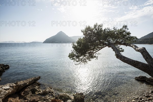 Platja Formentor, Cape Formentor, Port de Pollenca, Serra de Tramuntana, Majorca, Majorca, Balearic Islands, Spain, Europe