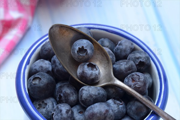 Blueberries in cup, cultivated blueberry
