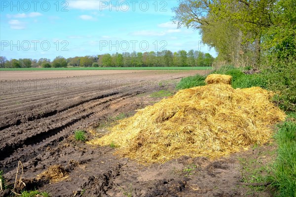 Rural scene with a heap of straw at the edge of a cultivated field on a sunny day
