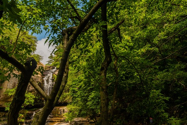 Sunlight filtering through trees onto a hidden waterfall in the forest, in South Korea