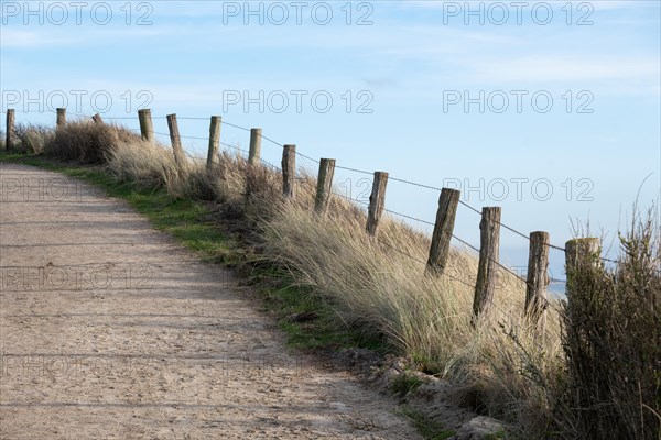 A sandy path next to a wooden fence, surrounded by marram grass