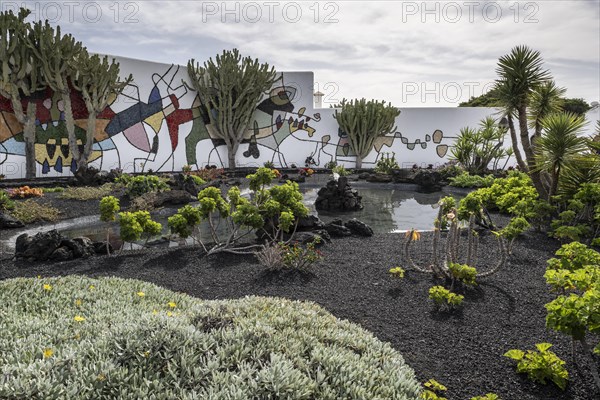 Garden in the inner courtyard of the Fundacion Cesar Manrique, Lanzarote, Canary Islands, Spain, Europe