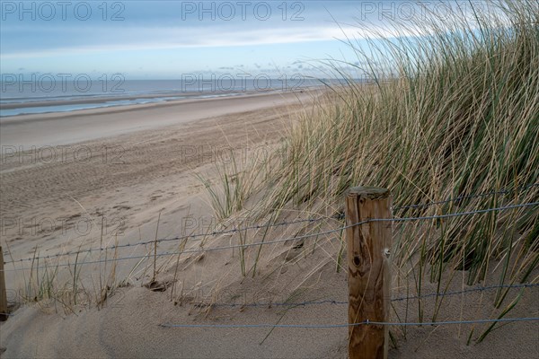Close-up of a sand dune with grass and a barbed wire fence, cloudy background, DeHaan, Flanders, Belgium, Europe