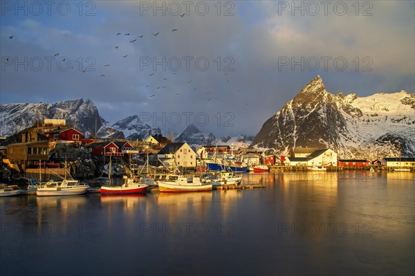 Vivid sunset over a bustling fishing harbor in Lofoten with birds flying overhead, Lofoten