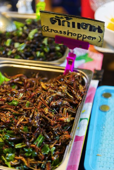 Roasted grasshoppers at the evening market in Krabi, food, nutrition, future, future, food, poverty, developing countries, nutrition, world food, strange, getting used to, grilled, roasted, kitchen, preparation, sale, exotic, insects, protein, vitamins, healthy, health, disgust, overcoming, tourism, travel, Thailand, Asia