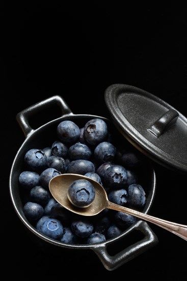 Blueberries with spoon in pots, cultivated blueberry, Vaccinium