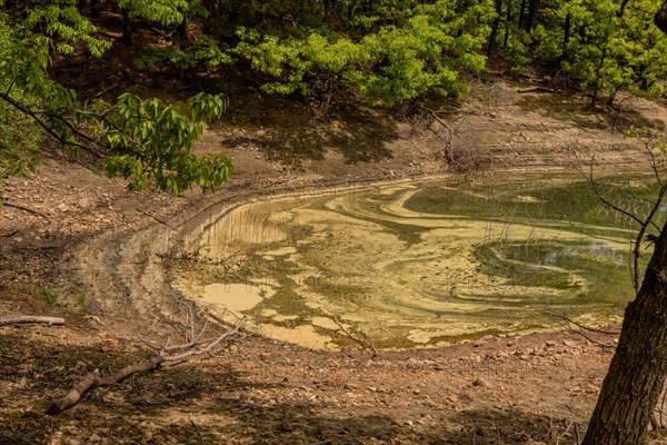 A parched pond bed covered with green algae and surrounded by trees, in South Korea