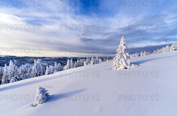 Winter on the Feldberg, Breisgau-Hochschwarzwald district, Baden-Wuerttemberg, Germany, Europe