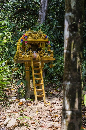 Buddhist temple in the rainforest, jungle, offering, religion, Buddhism, world religion, statue, sculpture, worship, God, icon, faith, believe, culture, history, cultural history, cult, church, golden, gold, leader, travel, holiday, tourism, Kao Lak, Thailand, Asia