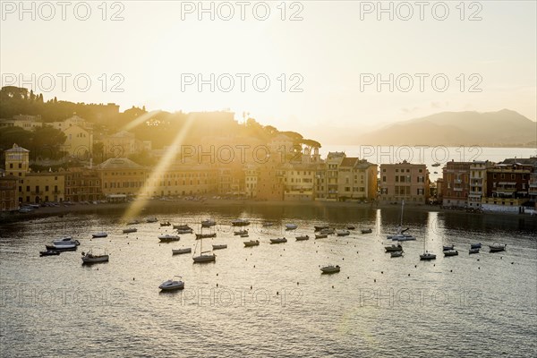 Village with colourful houses by the sea, sunset, Baia del Silenzio, Sestri Levante, Province of Genoa, Riveria di Levante, Liguria, Italy, Europe