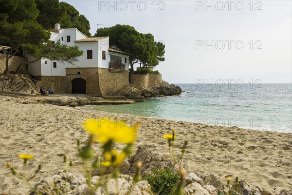 Cala Gat, Cala Ratjada, Majorca, Balearic Islands, Spain, Europe